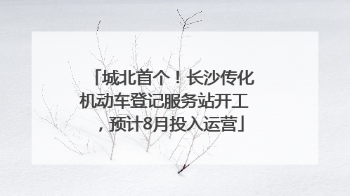 城北首个！长沙传化机动车登记服务站开工，预计8月投入运营