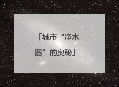 城市“净水器”的奥秘
