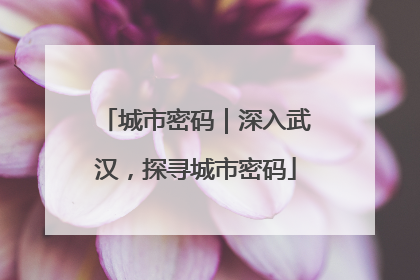 城市密码｜深入武汉，探寻城市密码