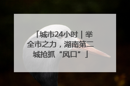城市24小时｜举全市之力，湖南第二城抢抓“风口”