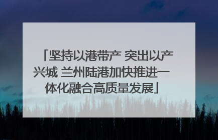 坚持以港带产 突出以产兴城 兰州陆港加快推进一体化融合高质量发展