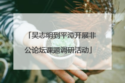 吴志明到平潭开展非公论坛课题调研活动