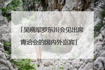 吴晓军罗东川会见出席青洽会的国内外嘉宾