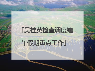 吴桂英检查调度端午假期重点工作