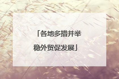 各地多措并举稳外贸促发展