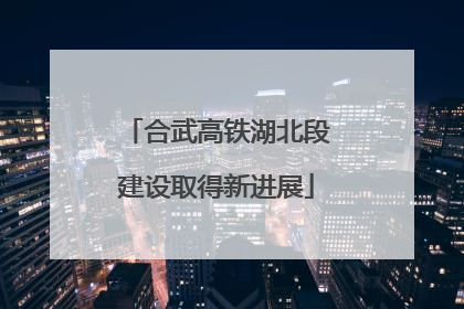合武高铁湖北段建设取得新进展