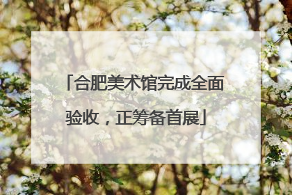 合肥美术馆完成全面验收，正筹备首展