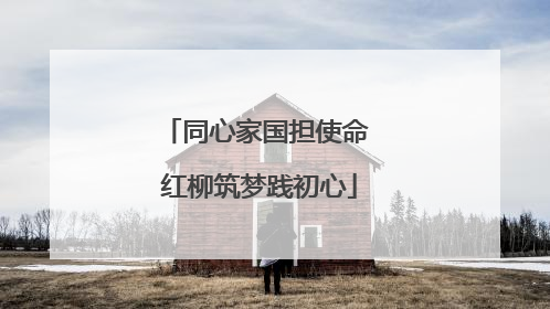 同心家国担使命 红柳筑梦践初心