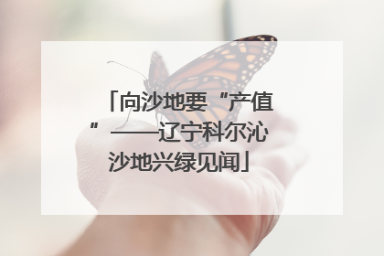 向沙地要“产值”——辽宁科尔沁沙地兴绿见闻