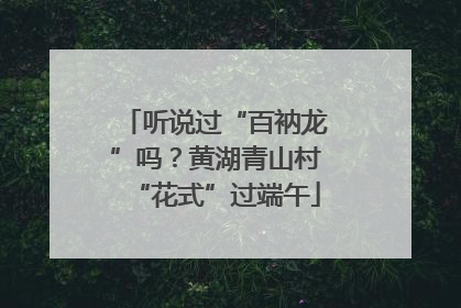 听说过“百衲龙”吗？黄湖青山村“花式”过端午