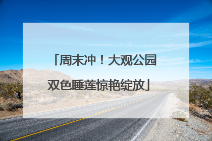 周末冲！大观公园双色睡莲惊艳绽放