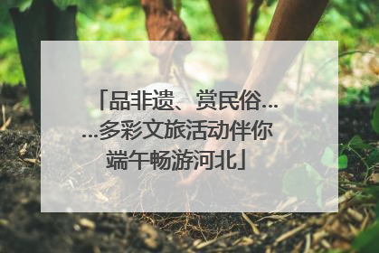 品非遗、赏民俗……多彩文旅活动伴你端午畅游河北