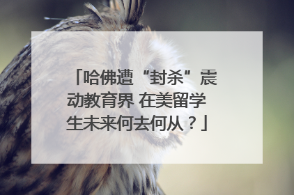 哈佛遭“封杀”震动教育界 在美留学生未来何去何从？