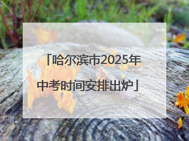 哈尔滨市2025年中考时间安排出炉