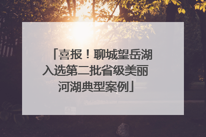 喜报！聊城望岳湖入选第二批省级美丽河湖典型案例