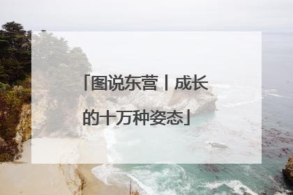图说东营丨成长的十万种姿态