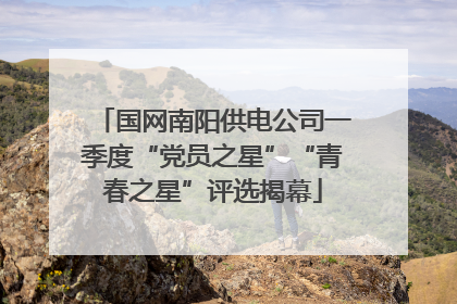 国网南阳供电公司一季度“党员之星”“青春之星”评选揭幕