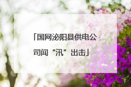 国网泌阳县供电公司闻“汛”出击