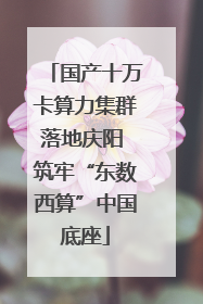 国产十万卡算力集群落地庆阳 筑牢“东数西算”中国底座