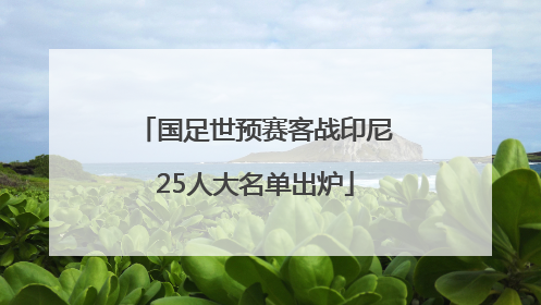 国足世预赛客战印尼25人大名单出炉