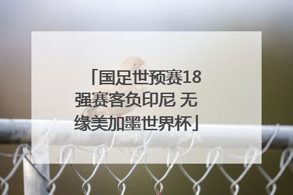 国足世预赛18强赛客负印尼 无缘美加墨世界杯