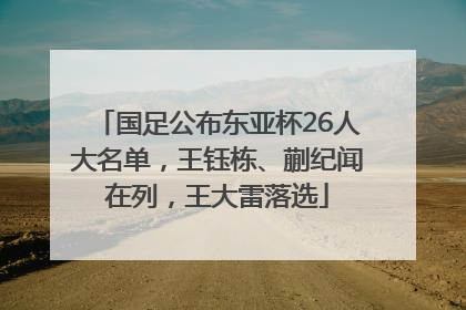 国足公布东亚杯26人大名单，王钰栋、蒯纪闻在列，王大雷落选