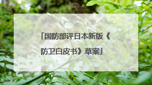 国防部评日本新版《防卫白皮书》草案