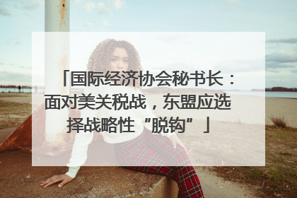 国际经济协会秘书长：面对美关税战，东盟应选择战略性“脱钩”