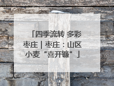 四季流转 多彩枣庄｜枣庄：山区小麦“喜开镰”