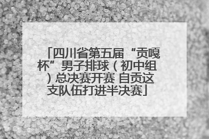 四川省第五届“贡嘎杯”男子排球（初中组）总决赛开赛 自贡这支队伍打进半决赛