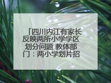 四川内江有家长反映两所小学学区划分问题 教体部门：两小学划片招生范围已调整