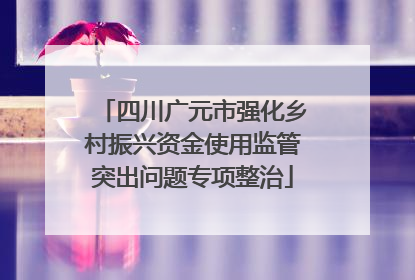 四川广元市强化乡村振兴资金使用监管突出问题专项整治