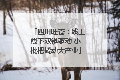 四川旺苍：线上线下双链驱动 小枇杷撬动大产业