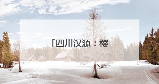 四川汉源：樱桃红 果农忙