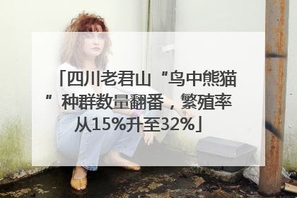 四川老君山“鸟中熊猫”种群数量翻番，繁殖率从15%升至32%