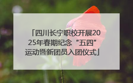 四川长宁职校开展2025年春期纪念“五四”运动暨新团员入团仪式