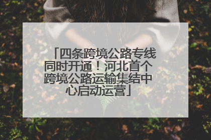 四条跨境公路专线同时开通！河北首个跨境公路运输集结中心启动运营