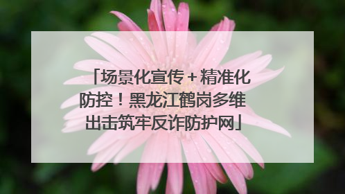 场景化宣传＋精准化防控！黑龙江鹤岗多维出击筑牢反诈防护网