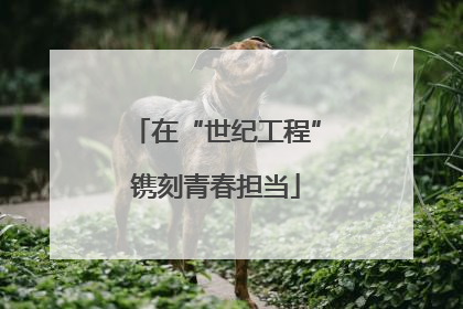 在“世纪工程”镌刻青春担当