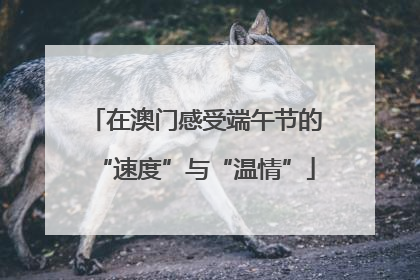 在澳门感受端午节的“速度”与“温情”