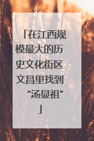在江西规模最大的历史文化街区文昌里找到“汤显祖”