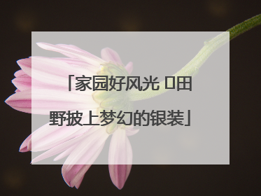 家园好风光 ⎮田野披上梦幻的银装