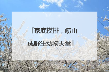 家底摸排，崂山成野生动物天堂