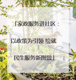 家政服务进社区：以政策为引领 绘就民生服务新图景