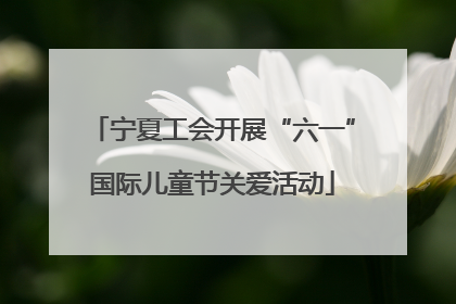 宁夏工会开展“六一”国际儿童节关爱活动