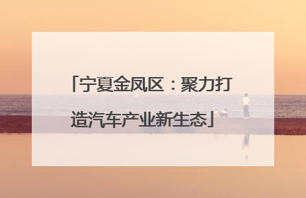 宁夏金凤区：聚力打造汽车产业新生态