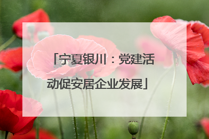 宁夏银川：党建活动促安居企业发展