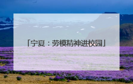 宁夏：劳模精神进校园