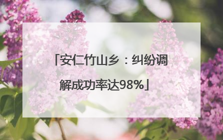 安仁竹山乡：纠纷调解成功率达98%