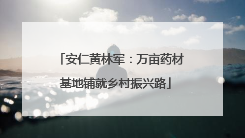 安仁黄林军：万亩药材基地铺就乡村振兴路
